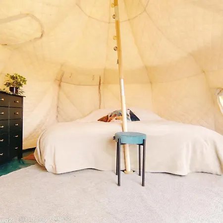 Free Canari - Alamos 8 Luksusowy namiot