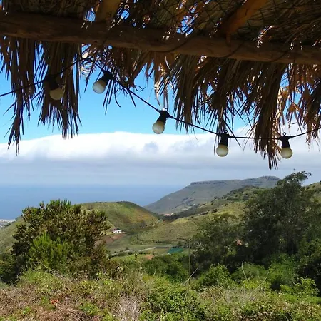 Free Canari - Alamos 8