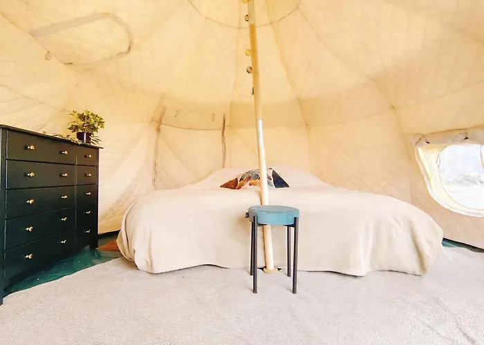 Free Canari - Alamos 8 Luksustelt