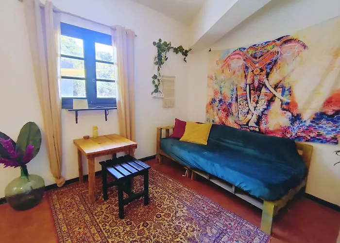 Free Canari - Alamos 8 Luksustelt