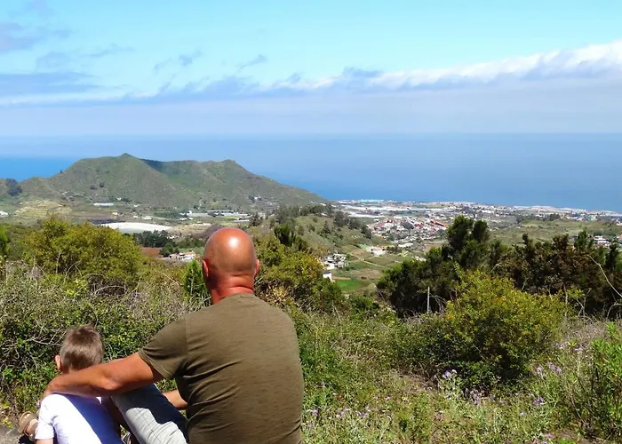 Free Canari - Alamos 8 Luksustelt *