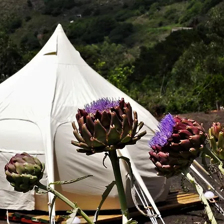 Free Canari - Alamos 8 럭셔리텐트 *