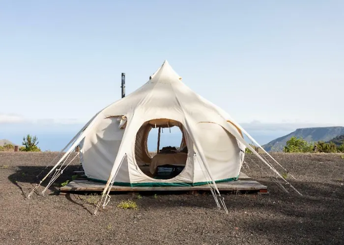 Free Canari - Alamos 8