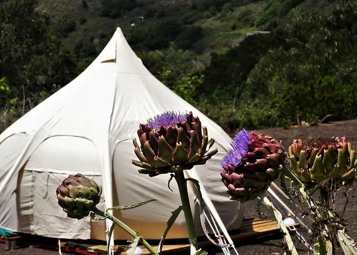 Free Canari - Alamos 8 Οργανωμένο κάμπινγκ *