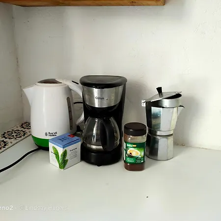 Free Canari - Alamos 8 Tegueste