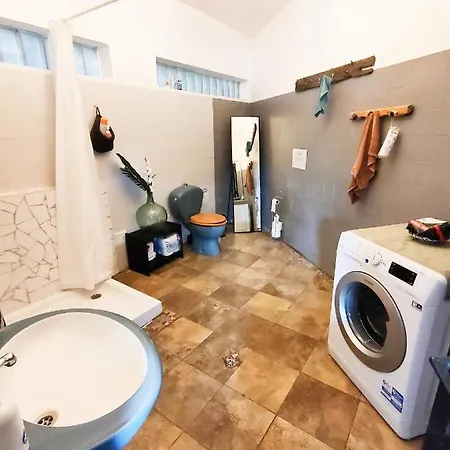 Free Canari - Alamos 8