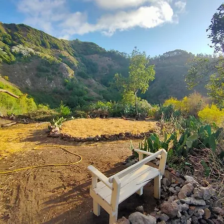 Free Canari - Alamos 8 Tente de luxe