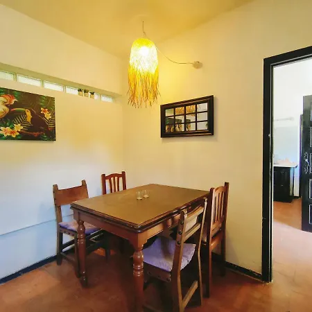 Tente de luxe Free Canari - Alamos 8 Tegueste