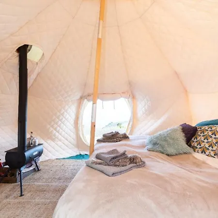 Free Canari - Alamos 8 * Tegueste